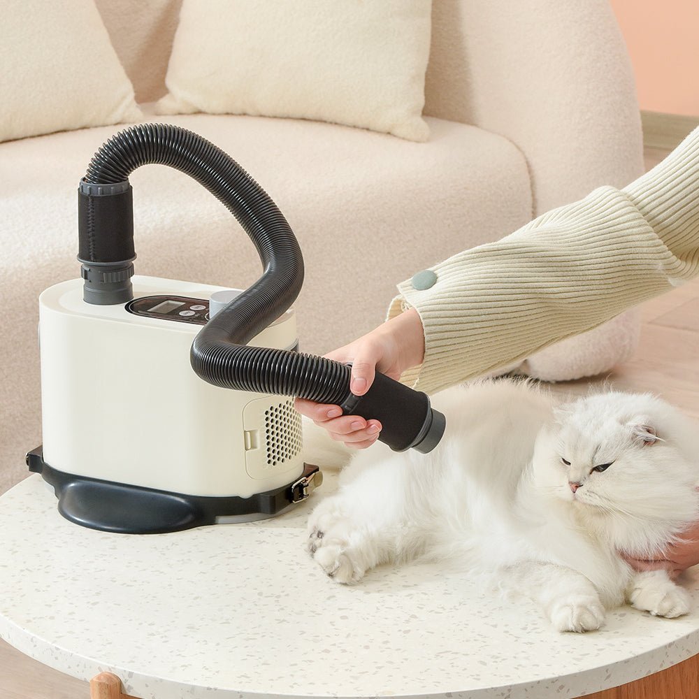 HEYBO Safely Electric Pet Dog Hair Dryer Machine - HEYBO