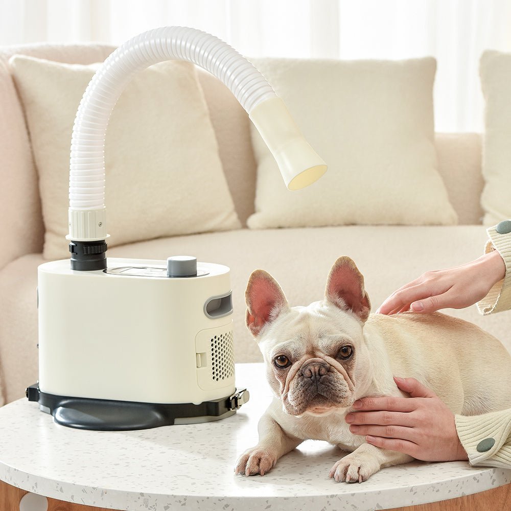 HEYBO Safely Electric Pet Dog Hair Dryer Machine - HEYBO