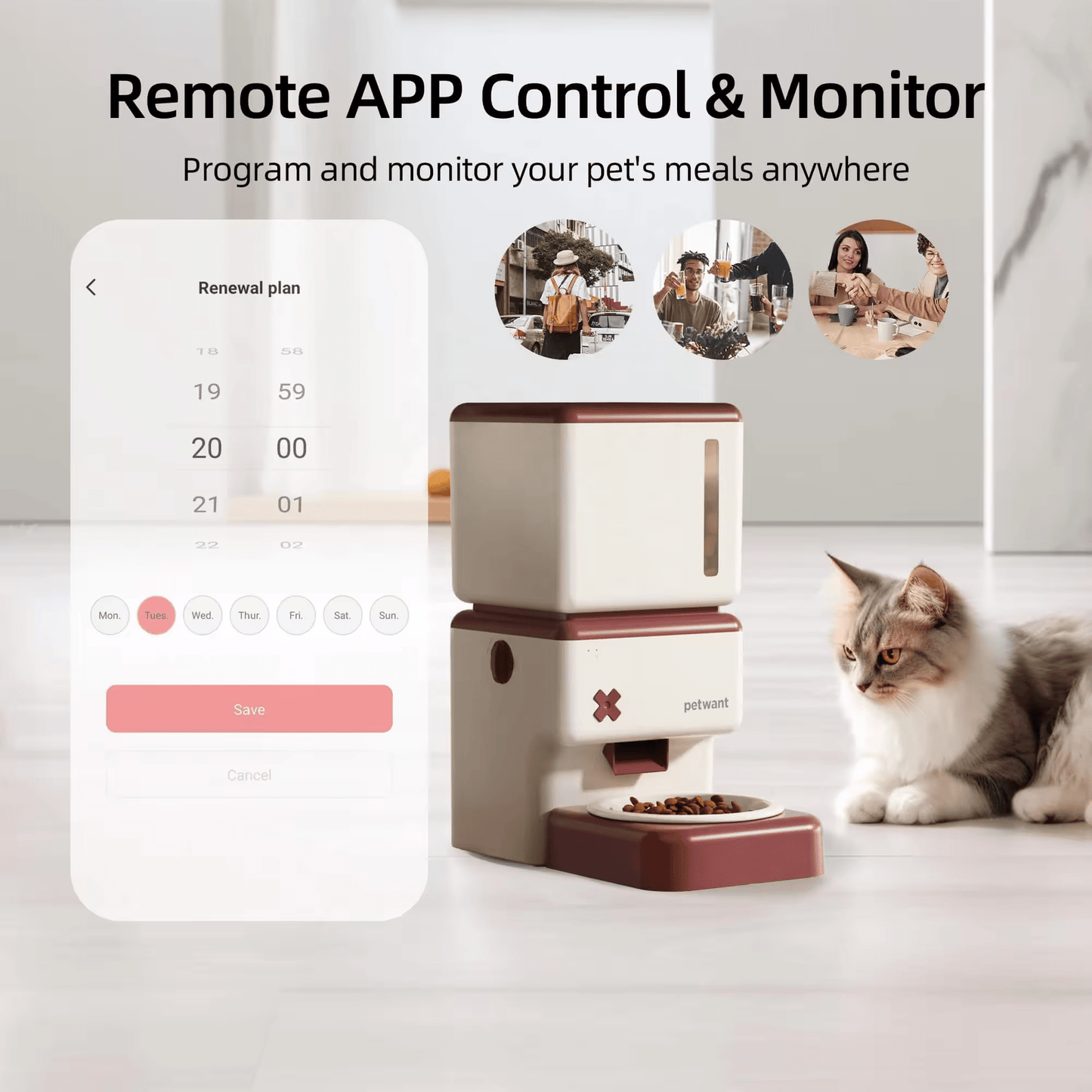 HEYBO Automatic Cat Feeder Smart Dog Feeder - HEYBO