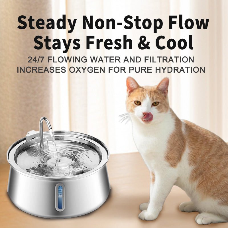 HEYBO Automatic Easy Clean Pet Water Dispenser with Ultra Quiet Pump - HEYBO