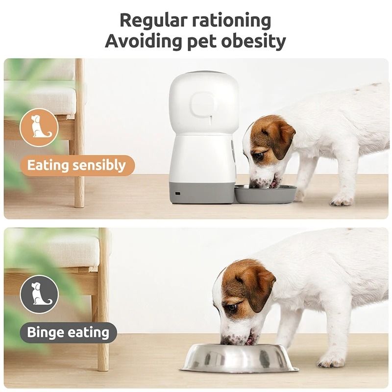 HEYBO 3.5L Automatic Cat Feeder Auto Dog Food Dispenser with Twist Lock Lid Dog Cat Dry Food Dispenser with Voice Recorder - HEYBO