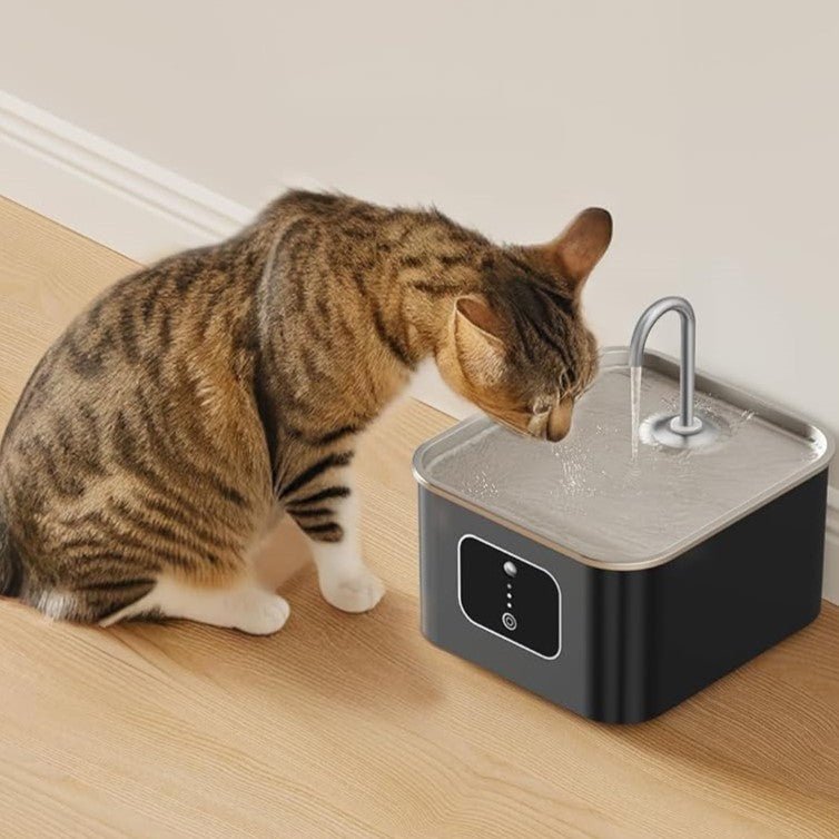 HEYBO Cat Fountains for Drinking Battery Operated 4000mAh Motion Sensor Automatic Cat Water Fountain with Water Level Window and LED Light for Water - HEYBO