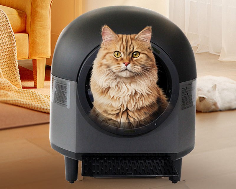 HEYBO Automatic Cat Litter Box Self Cleaning Smart Litter Box - HEYBO