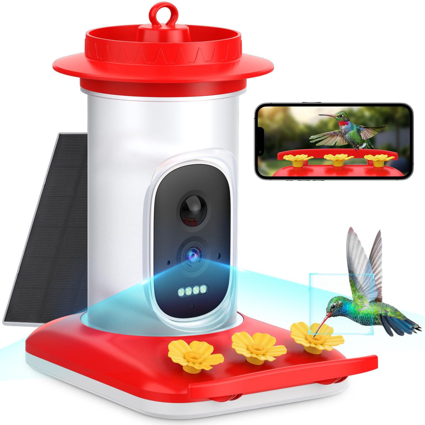 HEYBO Full Color Night Vision Wifi Bird Food Dispenser - HEYBO