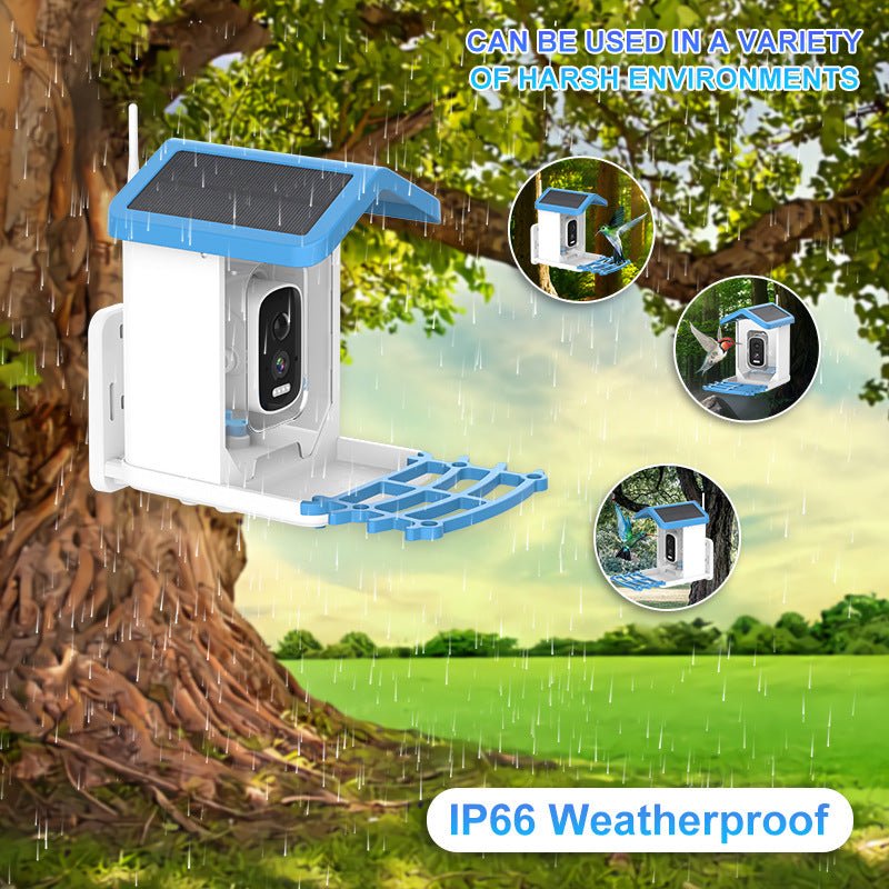 HEYBO Smart Bird Feeder Live View Wild Bird Watching Cam - HEYBO