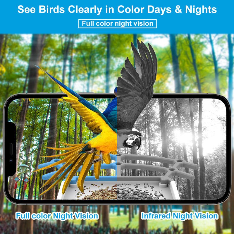 HEYBO Wildlife Hummingbird Bird Feeders With Camera - HEYBO