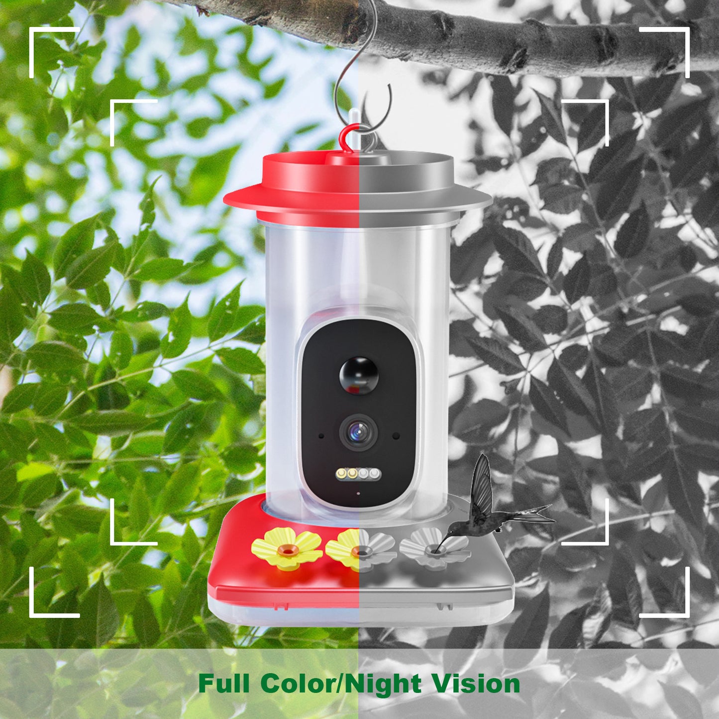 HEYBO Full Color Night Vision Wifi Bird Food Dispenser - HEYBO