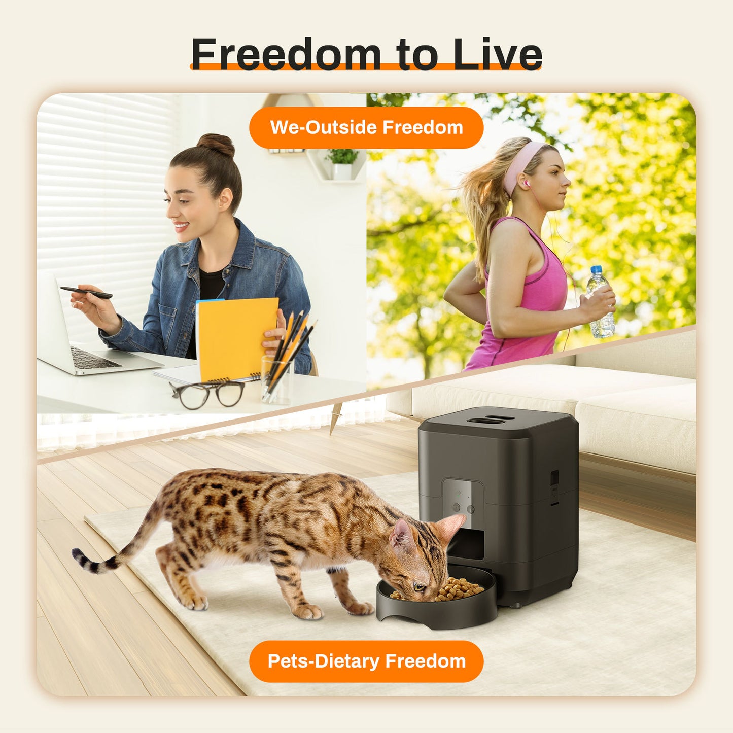 HEYBO 2L intelligent pet feeder automatically feeds pets - HEYBO