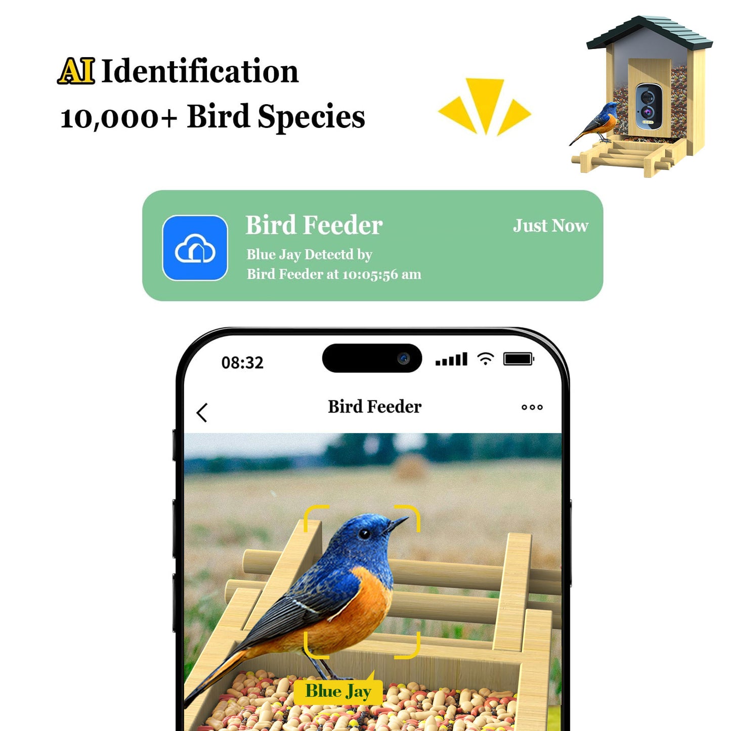 HEYBO Smart Bird Feeder Live View Wild Bird Watching Cam - HEYBO