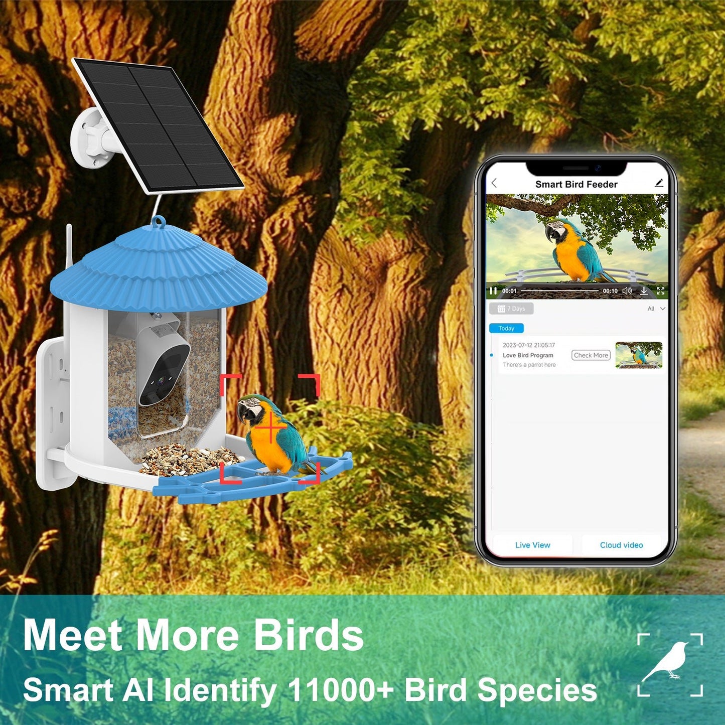 HEYBO Bird Recognition Solar Low Power Outdoor Smart Wild Bird Feeder Camera - HEYBO