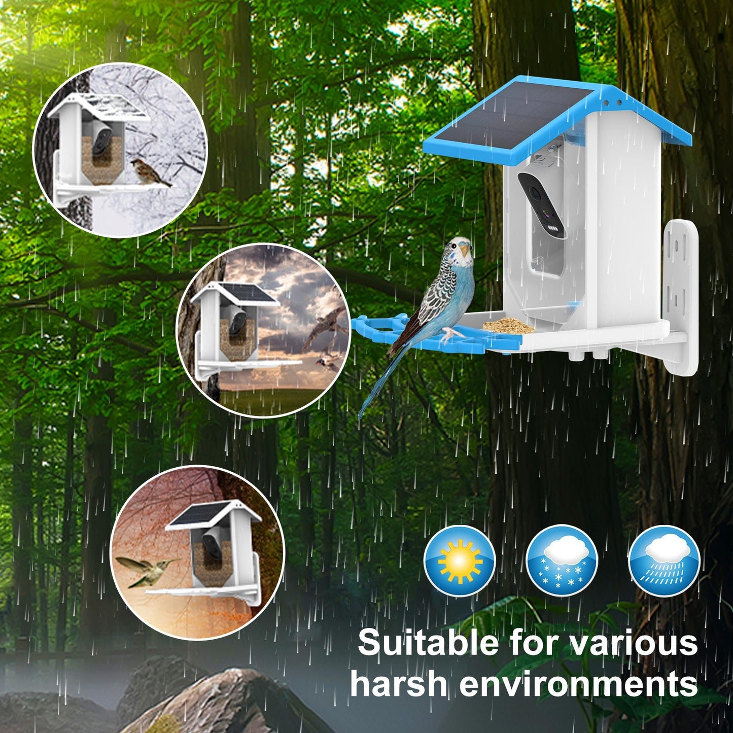 HEYBO Bird Feeder with Camera Outdoor Solar - HEYBO