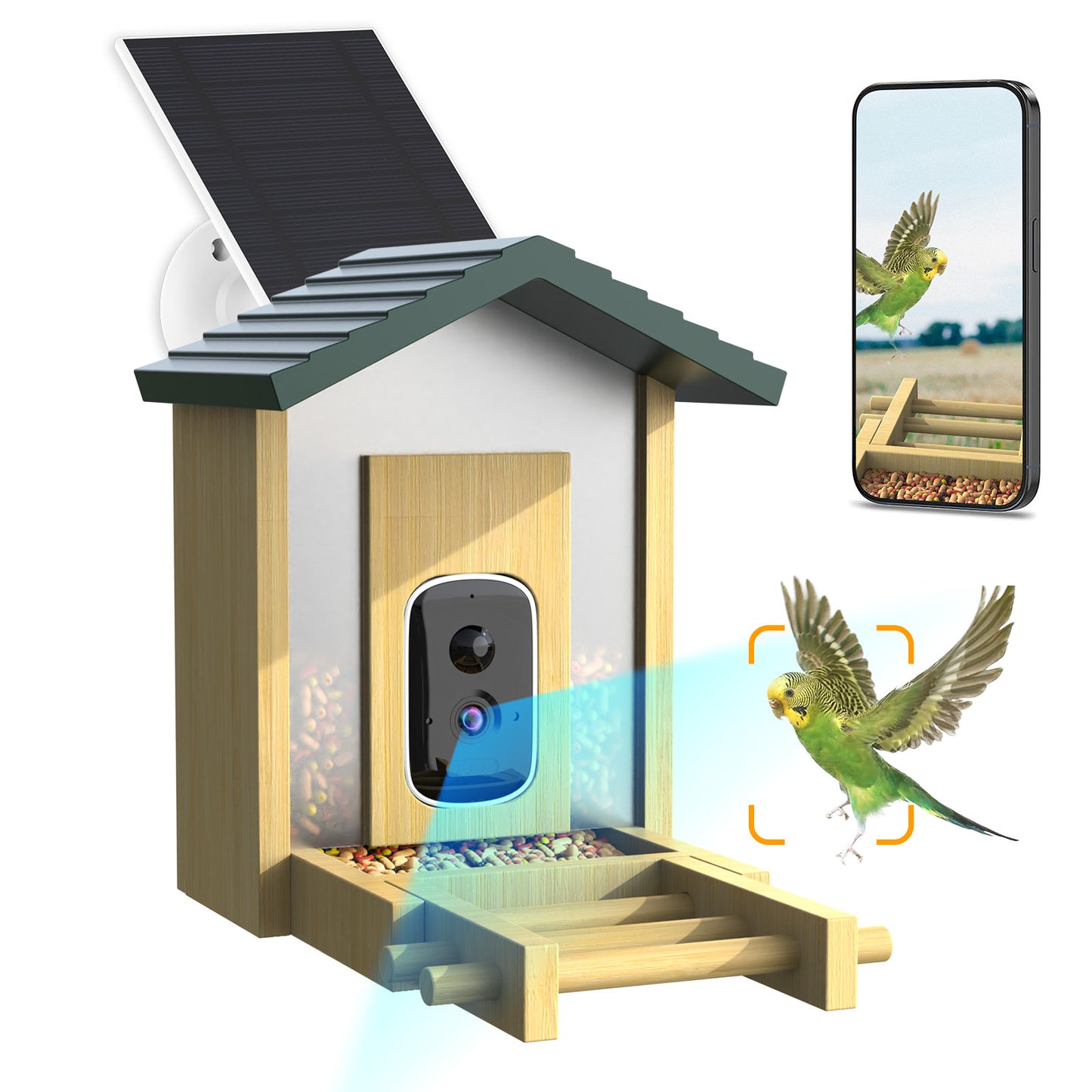 HEYBO Smart Bird Feeder Live View Wild Bird Watching Cam - HEYBO