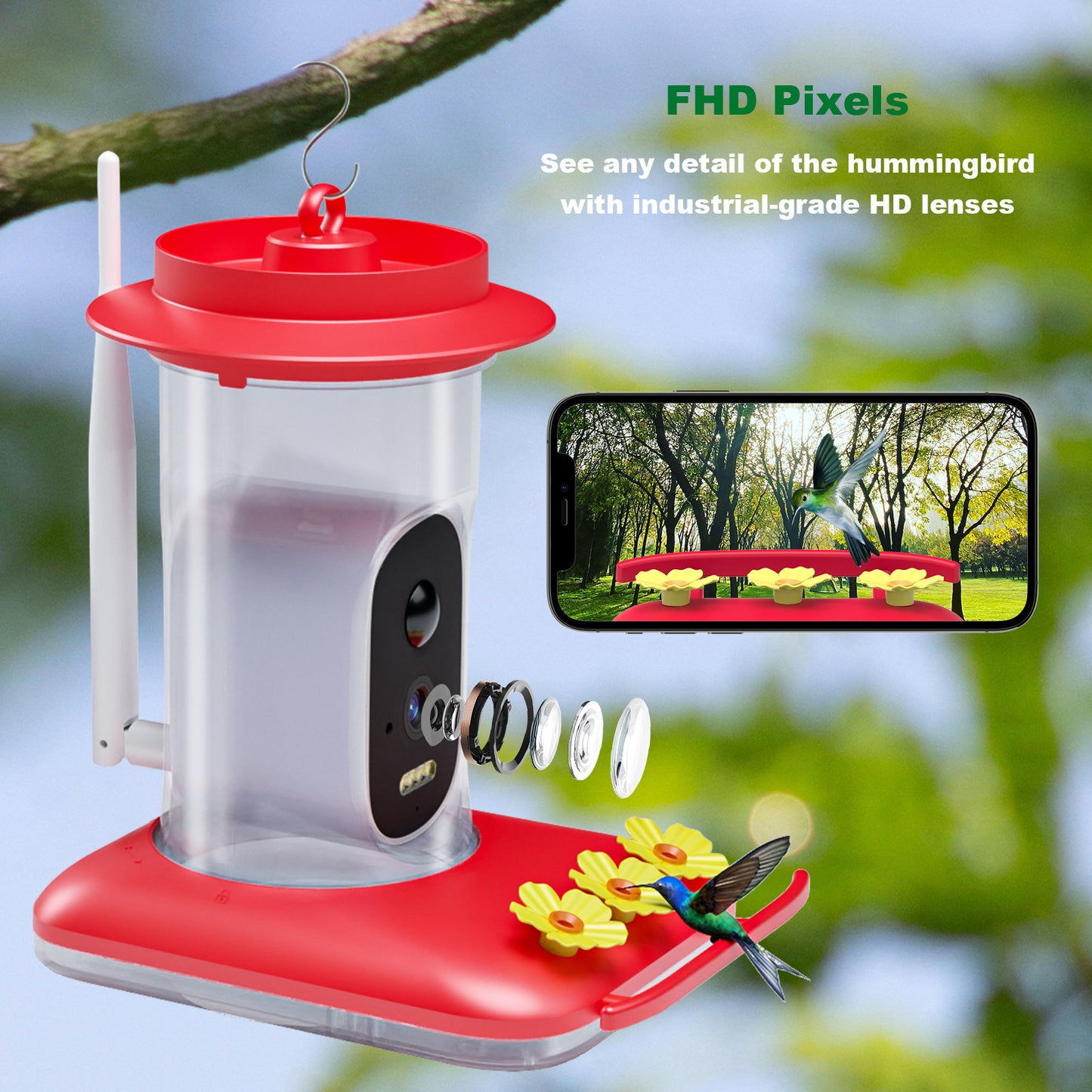HEYBO Full Color Night Vision Wifi Bird Food Dispenser - HEYBO