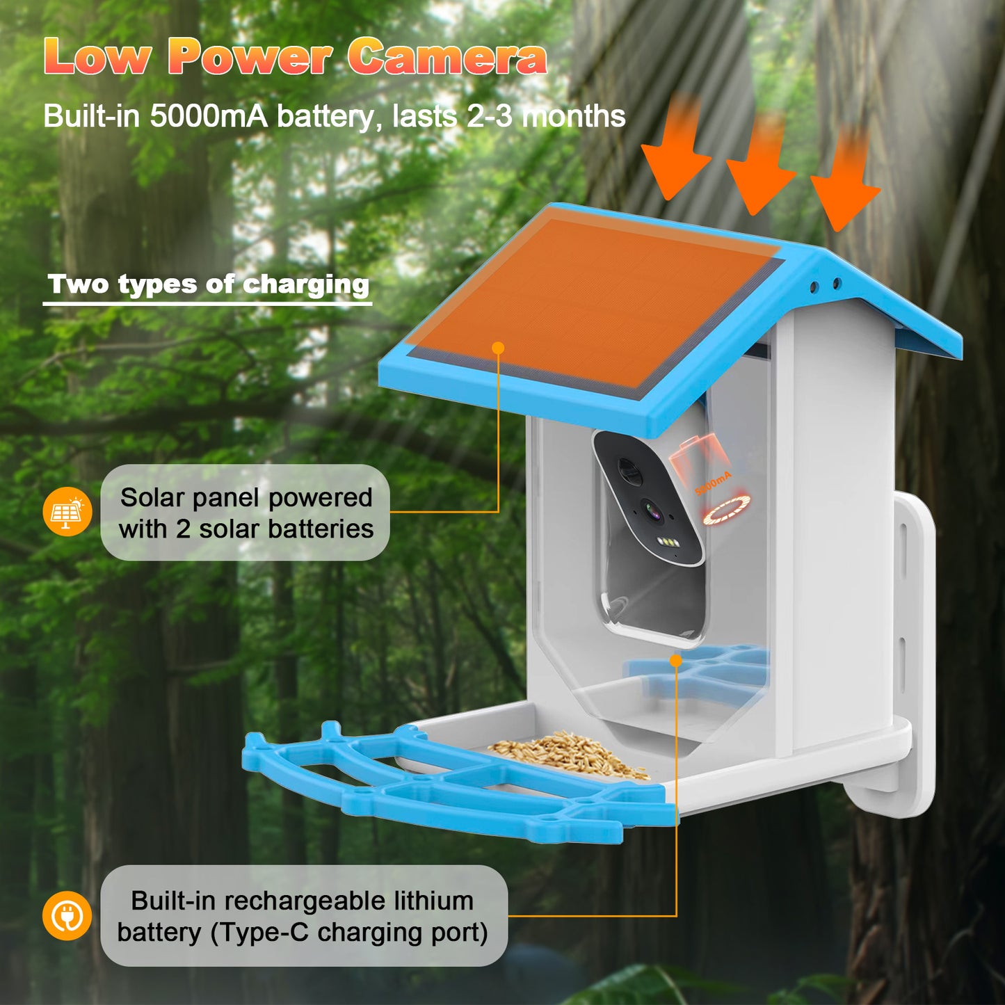HEYBO 4G 2.5K Smart Bird Feeder with Camera Solar Powered - HEYBO