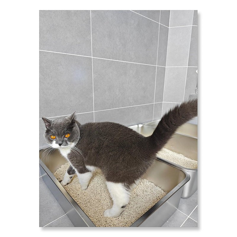 HEYBO Mirror - Finished Stainless Steel Cat Litter Box With Modern Antibacterial Design - HEYBO