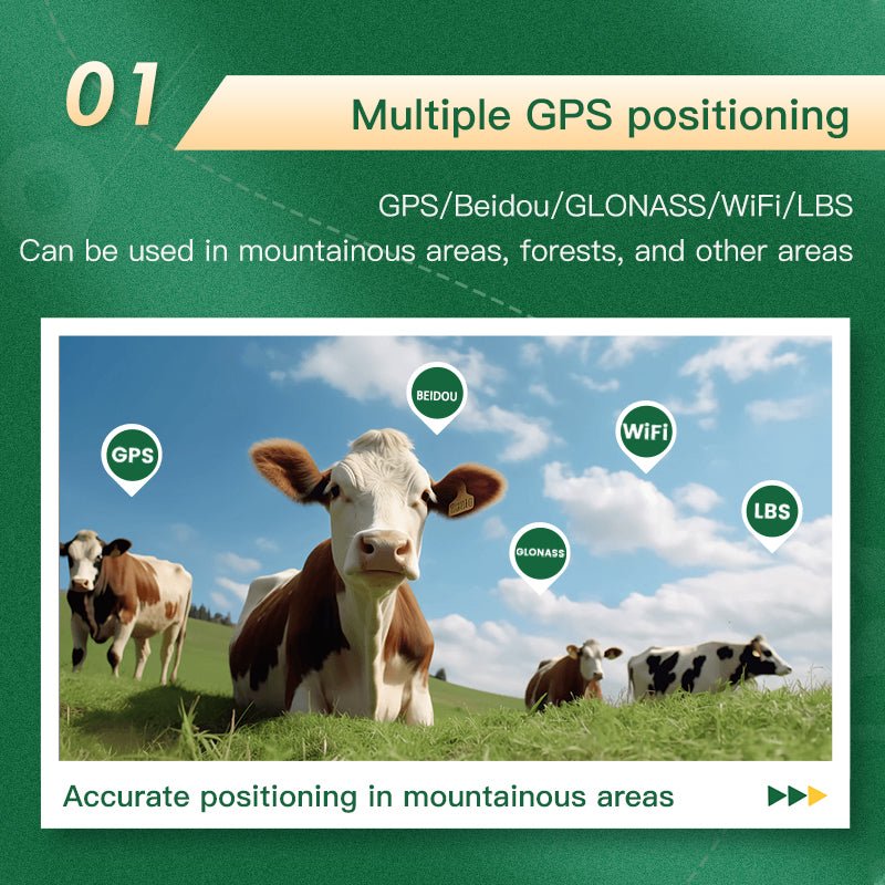 HEYBO GPS Tracker Waterproof IP67 WIFI Cattle Cow Sheep Horse Camel Tracking Device - HEYBO