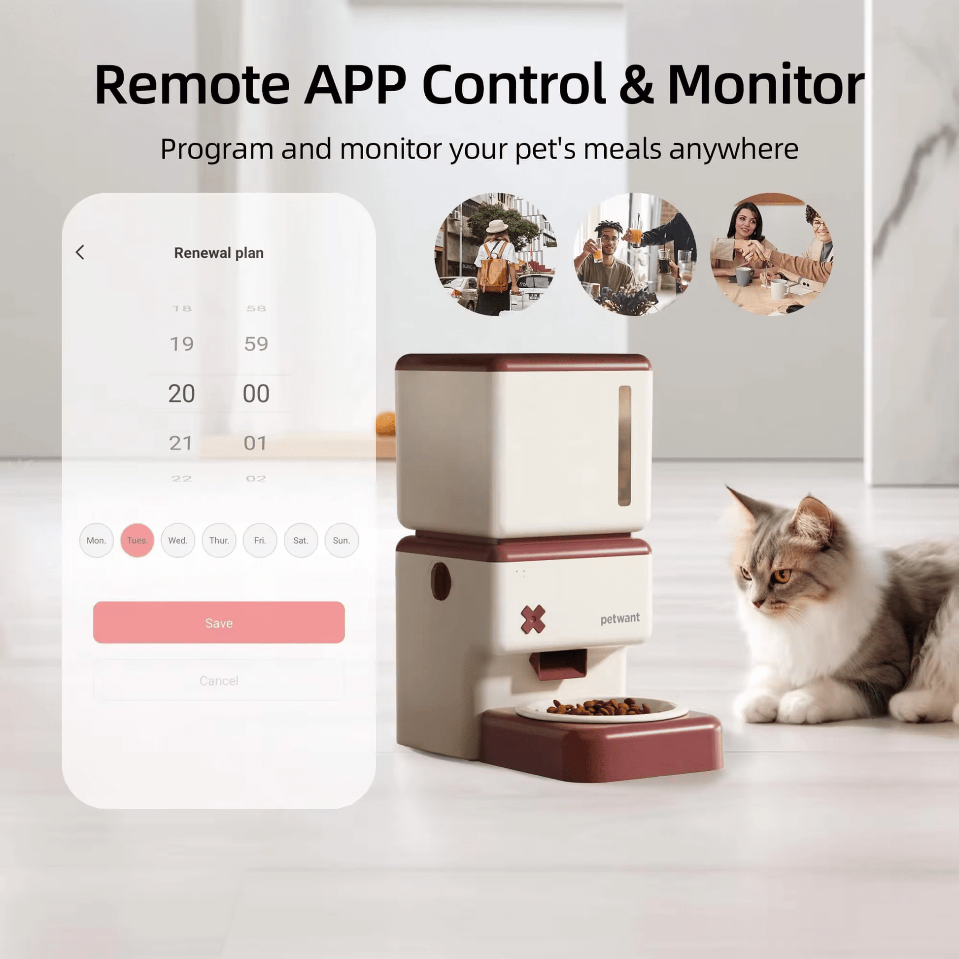HEYBO Automatic Cat Feeder Smart Dog Feeder - HEYBO