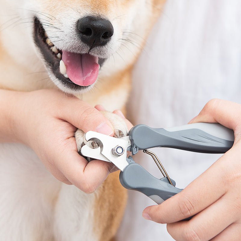 HEYBO Nail Clippers Set Dog and Cat Grooming Cutter - HEYBO