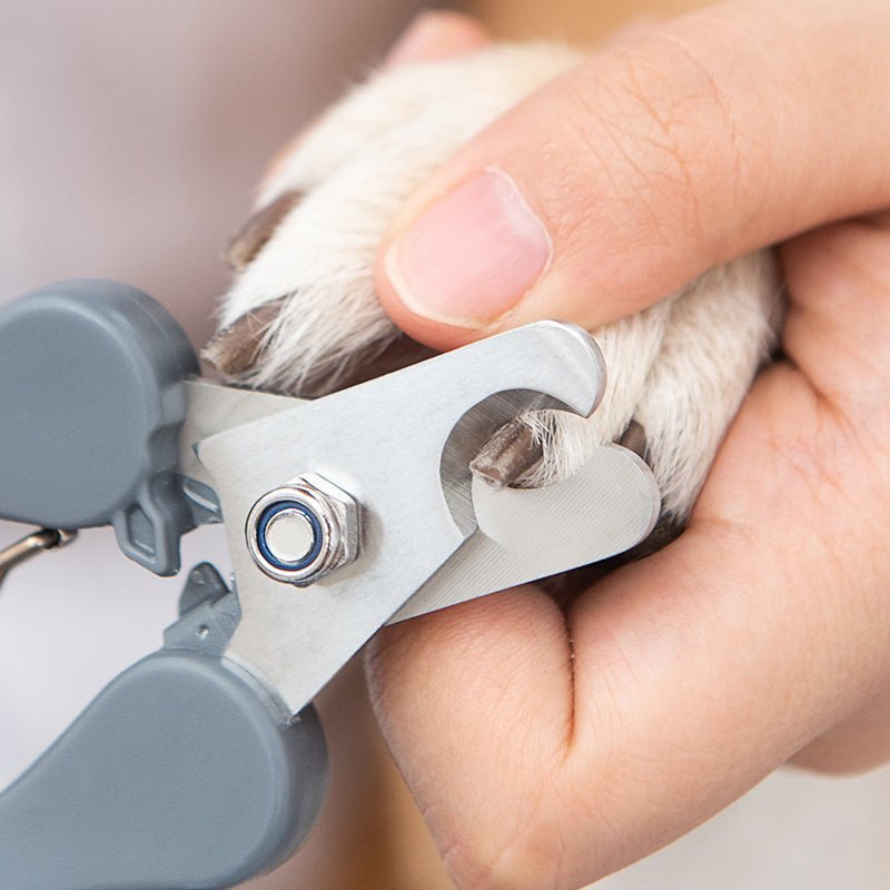 HEYBO Nail Clippers Set Dog and Cat Grooming Cutter - HEYBO