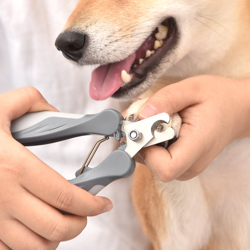 HEYBO Nail Clippers Set Dog and Cat Grooming Cutter - HEYBO