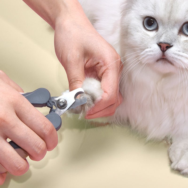 HEYBO Nail Clippers Set Dog and Cat Grooming Cutter - HEYBO