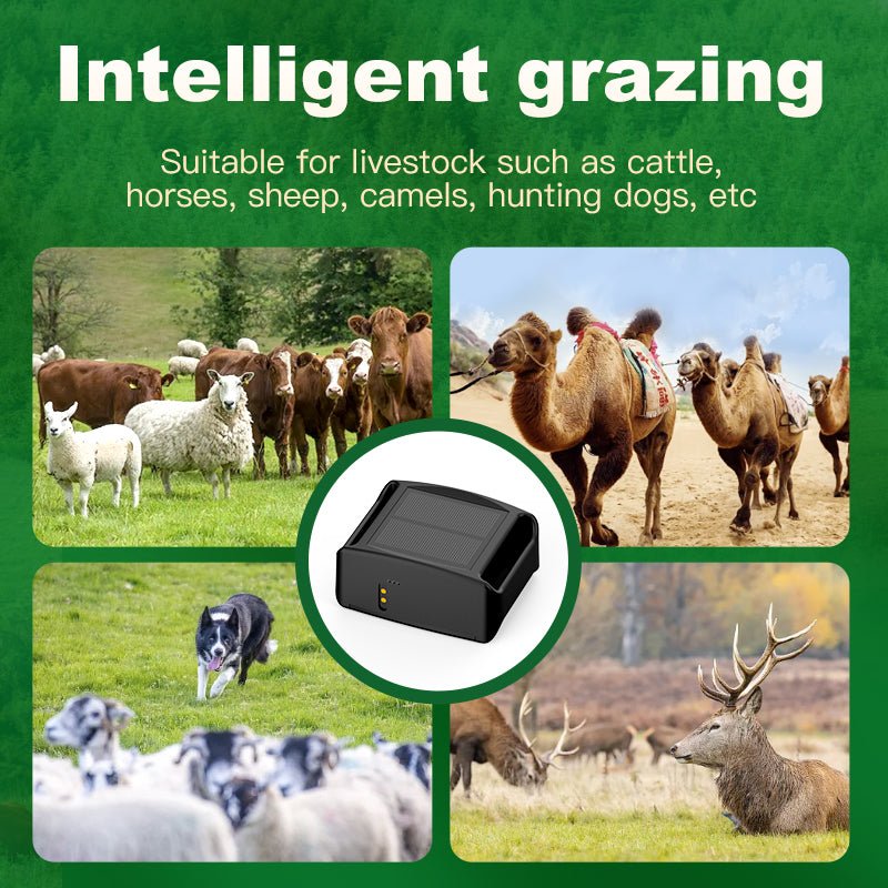 HEYBO GPS Tracker Waterproof IP67 WIFI Cattle Cow Sheep Horse Camel Tracking Device - HEYBO