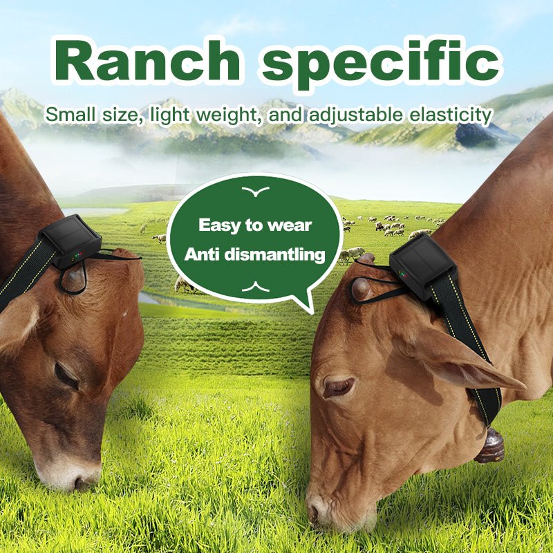 HEYBO GPS Tracker Waterproof IP67 WIFI Cattle Cow Sheep Horse Camel Tracking Device - HEYBO