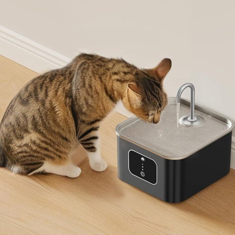 HEYBO Cat Fountains for Drinking Battery Operated 4000mAh Motion Sensor Automatic Cat Water Fountain with Water Level Window and LED Light for Water - HEYBO
