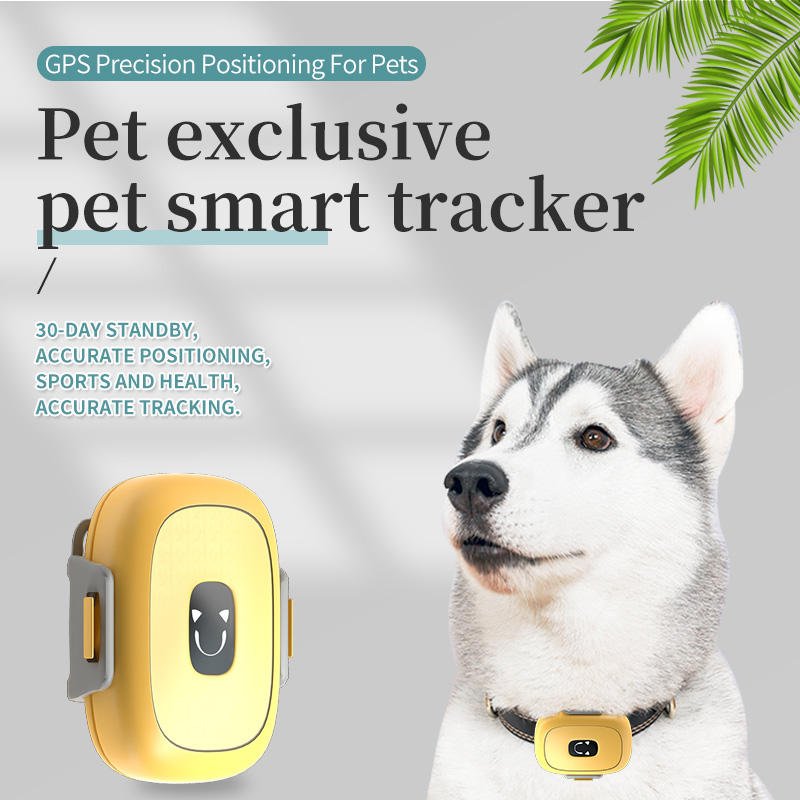 HEYBO Pet Activity Monitor Tracker Measure Pet Step Track Dog Cat Health Monitor With WIFI - HEYBO