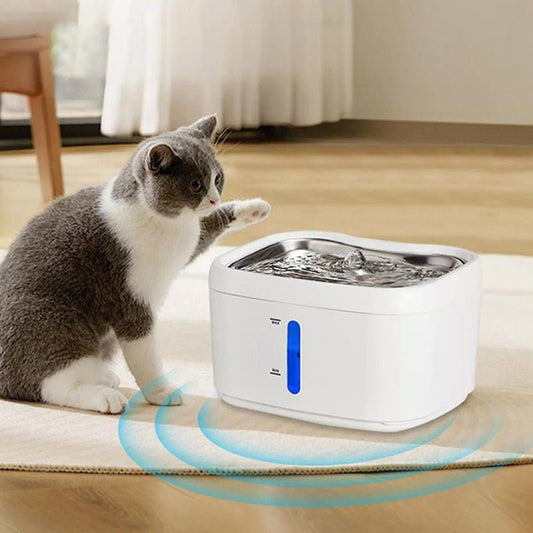 HEYBO 2.4 L Pet Drinking Dispenser for Cats - HEYBO