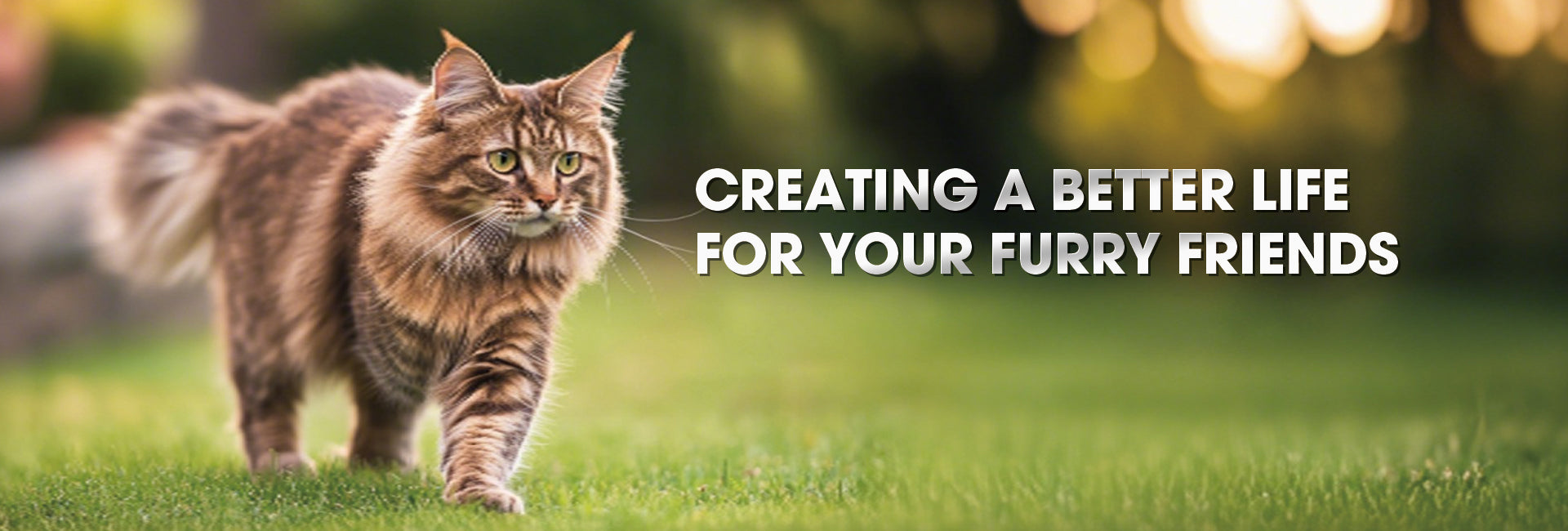 banner.jpg__PID:adadbd78-d7f3-4e3a-b37c-fde896047372