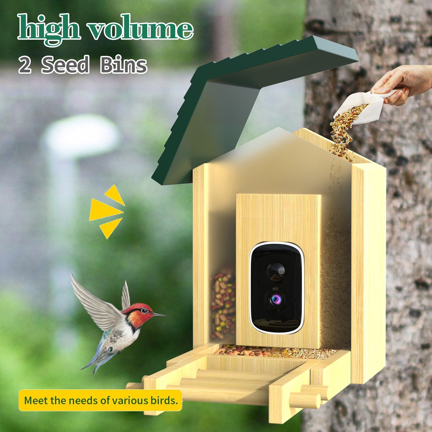 HEYBO Smart Bird Feeder Live View Wild Bird Watching Cam - HEYBO