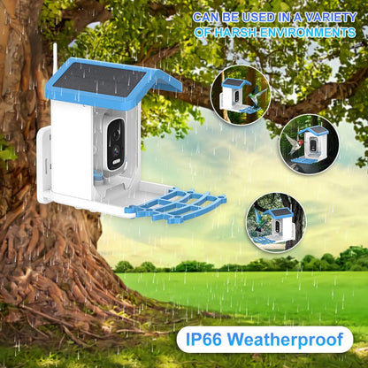 HEYBO Smart Bird Feeder Live View Wild Bird Watching Cam - HEYBO