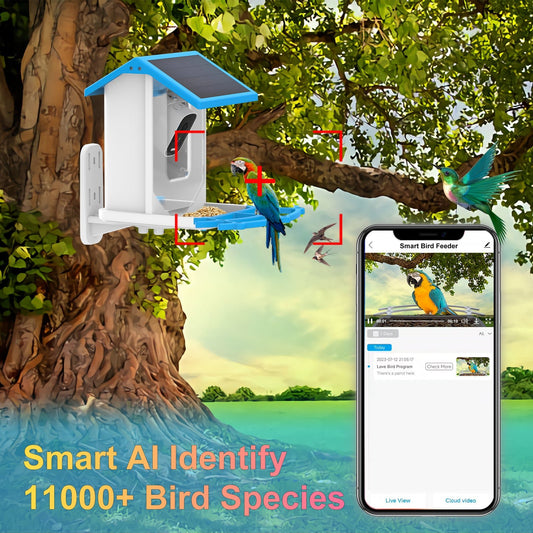 HEYBO Bird Feeder with Camera Outdoor Solar - HEYBO