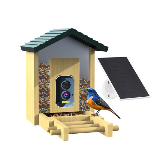 HEYBO Smart Bird Feeder Live View Wild Bird Watching Cam - HEYBO
