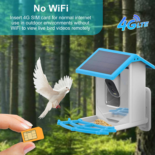 HEYBO 4G 2.5K Smart Bird Feeder with Camera Solar Powered - HEYBO