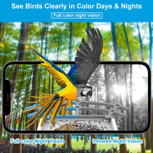 HEYBO Wildlife Hummingbird Bird Feeders With Camera - HEYBO
