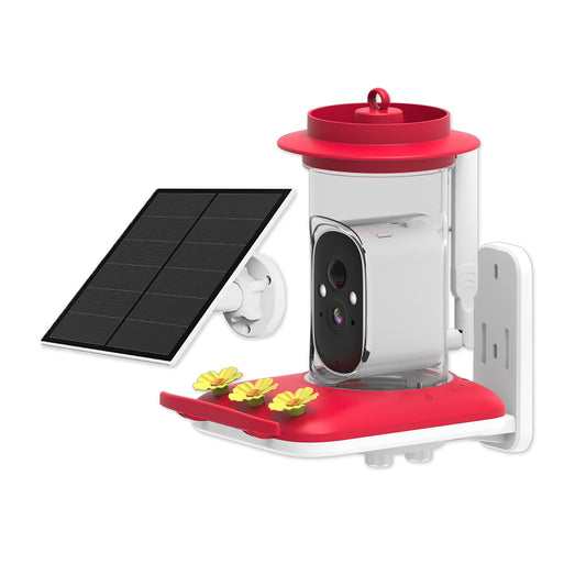 HEYBO Full Color Night Vision Wifi Bird Food Dispenser - HEYBO
