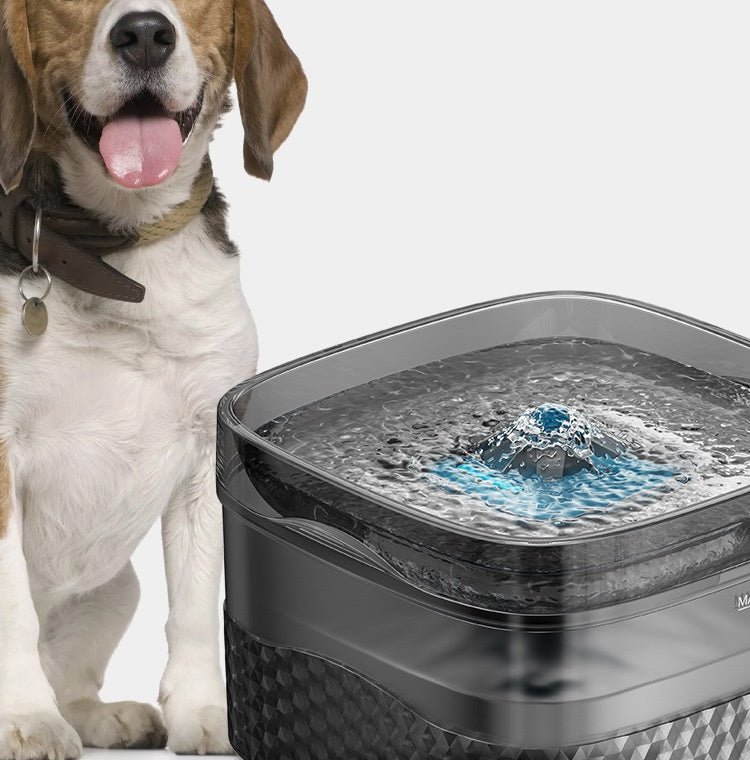 HEYBO Automatic Pet Water Feeder Fresh Clean Water for Your Pet - HEYBO