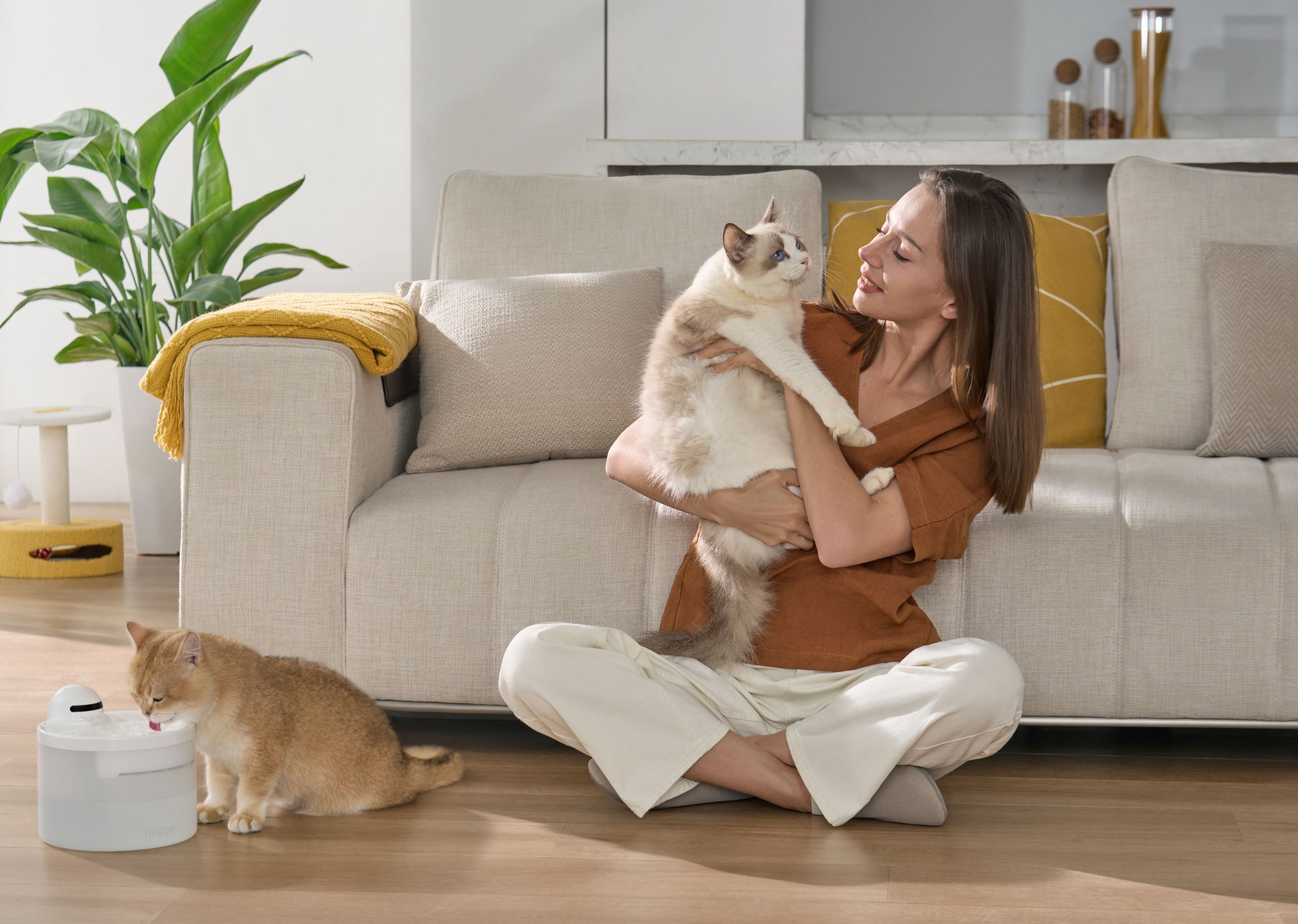 e9f7f677b6016cac3aad73b3234f80faa23e03d7c4ea4-qCG9Fq.jpg__PID:acb4259f-8163-4734-af83-2f7e3b8b3fe7