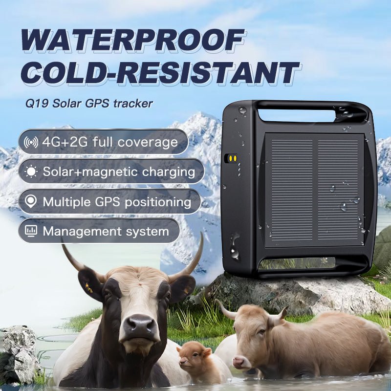 HEYBO GPS Tracker Waterproof IP67 WIFI Cattle Cow Sheep Horse Camel Tracking Device - HEYBO