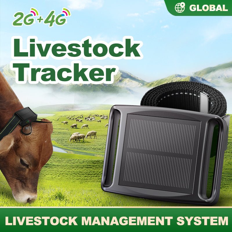 HEYBO GPS Tracker Waterproof IP67 WIFI Cattle Cow Sheep Horse Camel Tracking Device - HEYBO