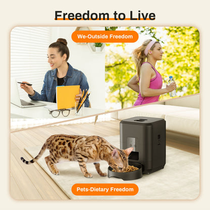 HEYBO 2L intelligent pet feeder automatically feeds pets - HEYBO
