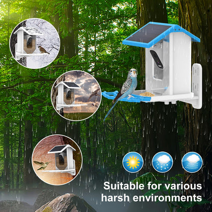 HEYBO Bird Feeder with Camera Outdoor Solar - HEYBO