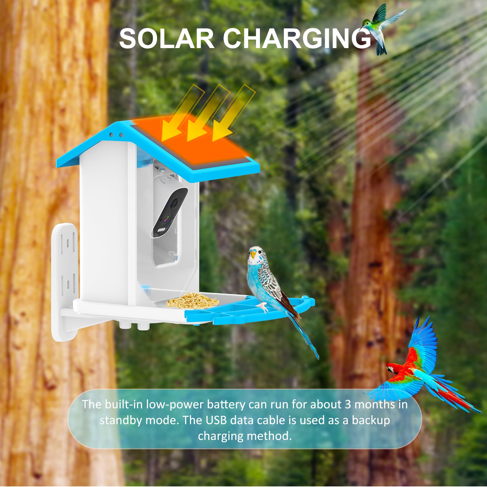 HEYBO Bird Feeder with Camera Outdoor Solar - HEYBO